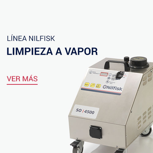 Limpieza a vapor